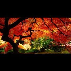 Meet your Posher, Hayedeh